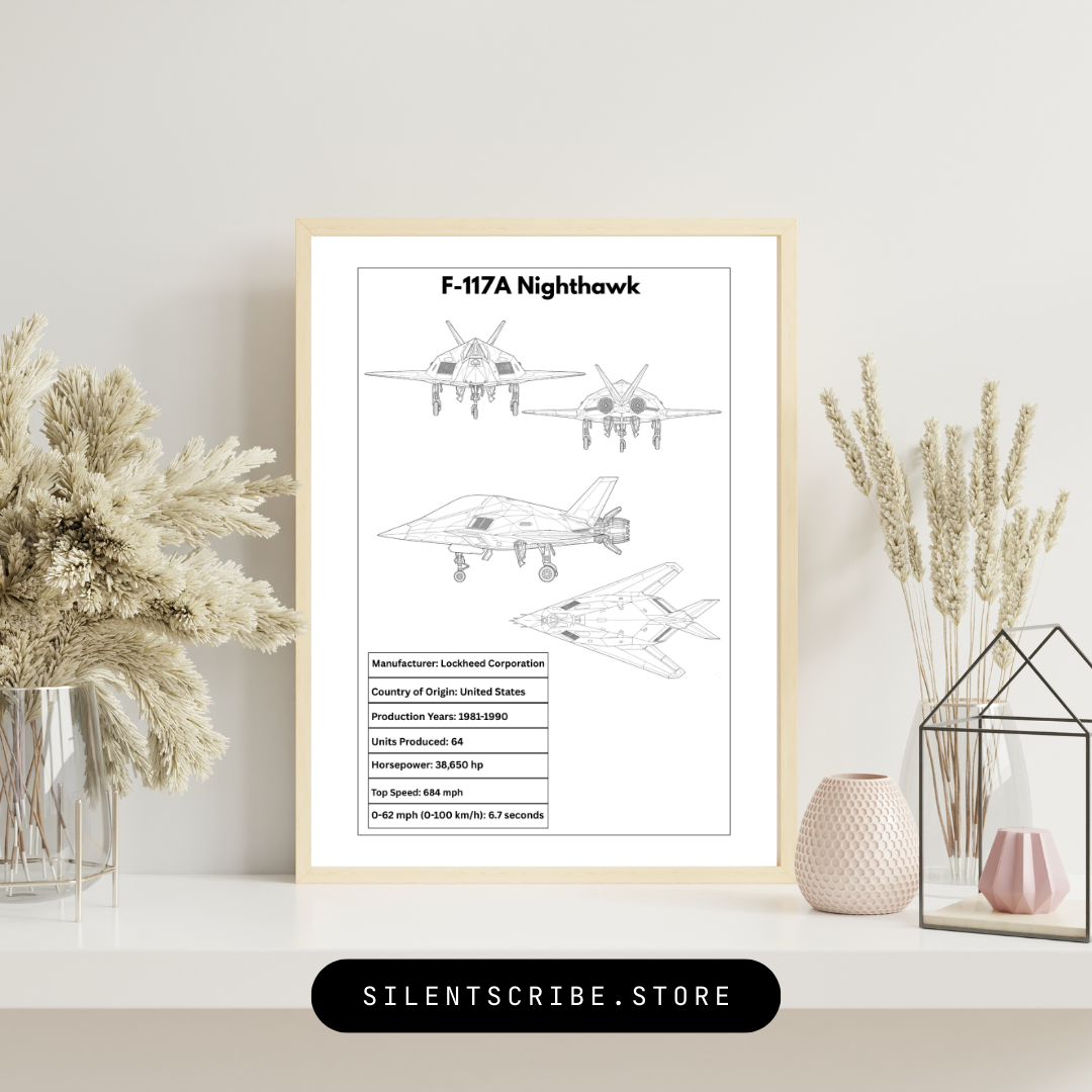 Framed artwork of F-117A Nighthawk airplane design on a wall with decorative elements.